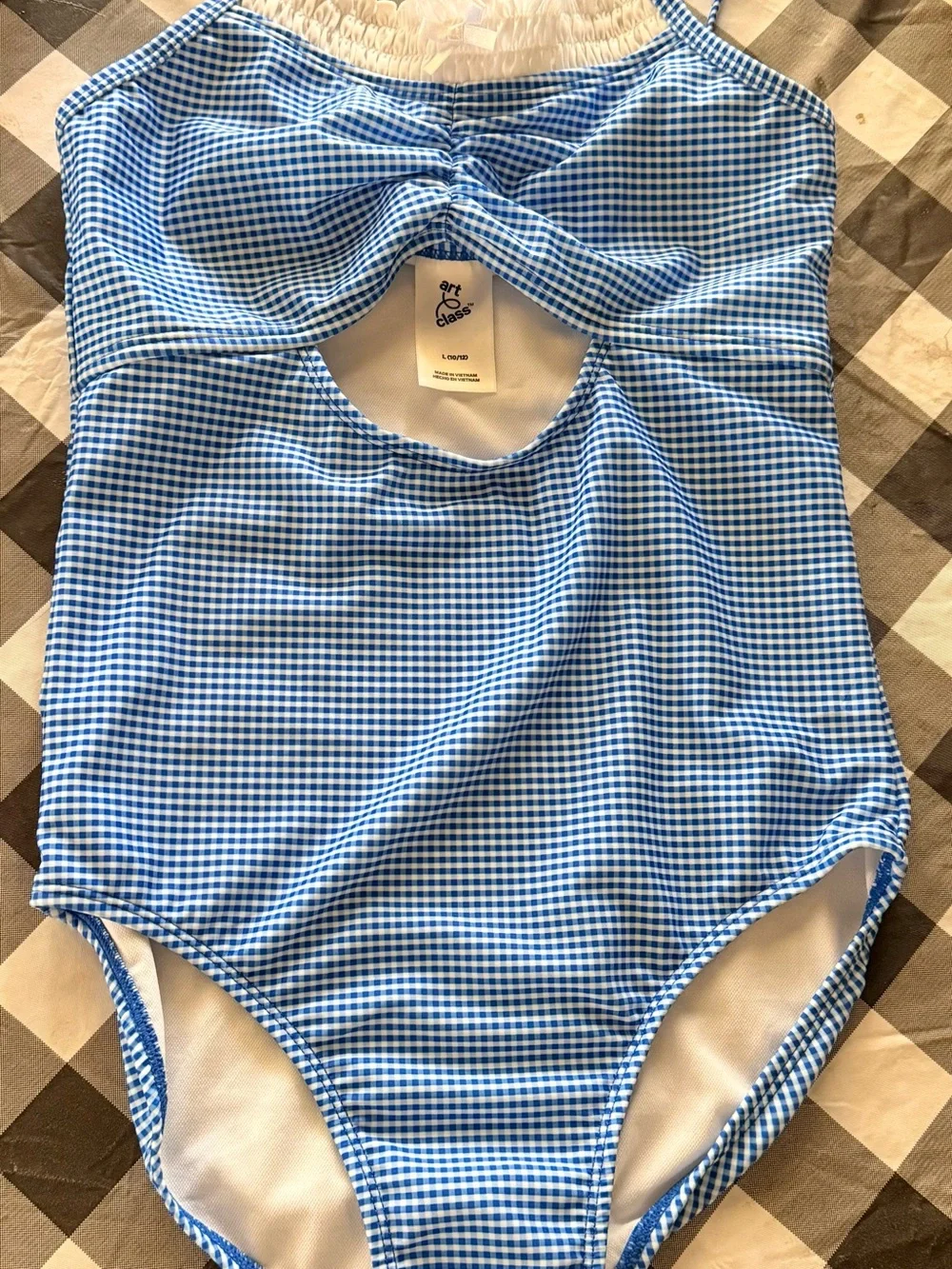 art class blue gingham
