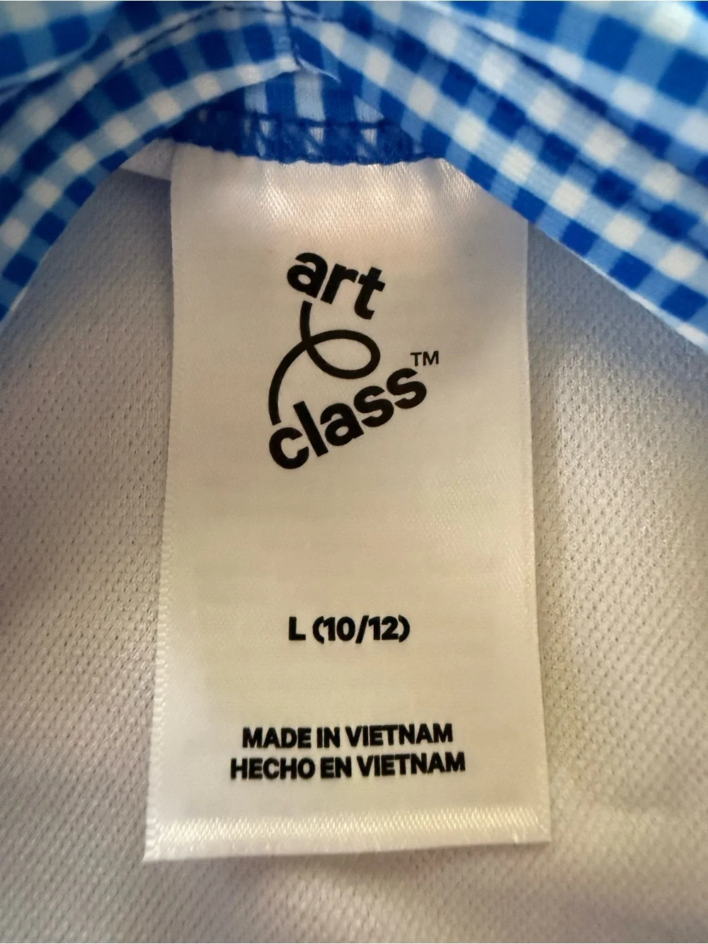 art class blue gingham
