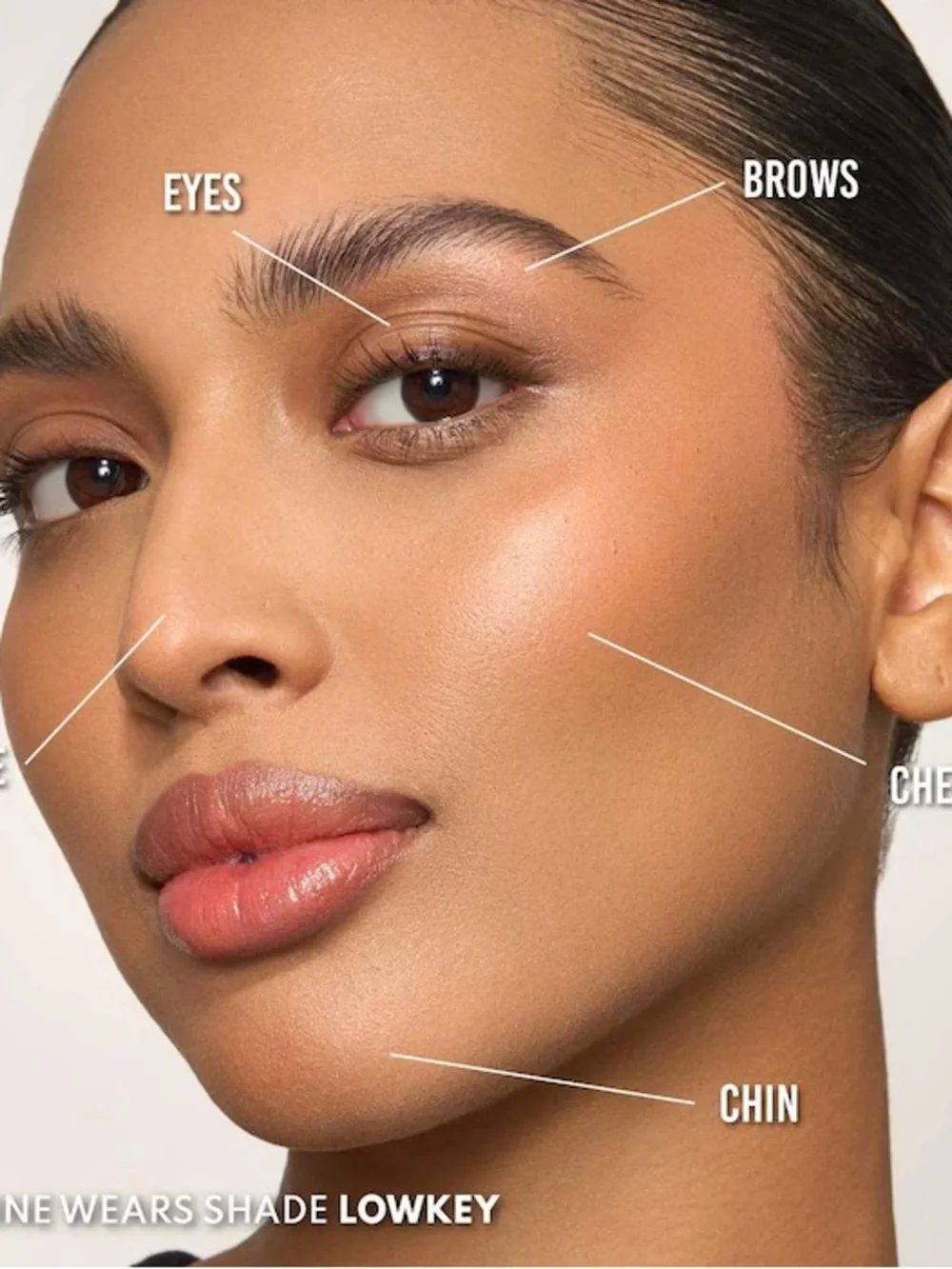 Danessa Myricks Beauty shade lowkey