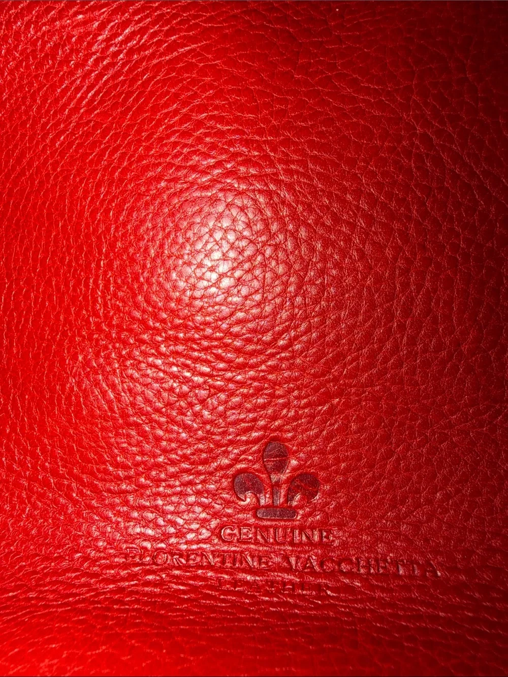 Dooney & Bourke structured leather