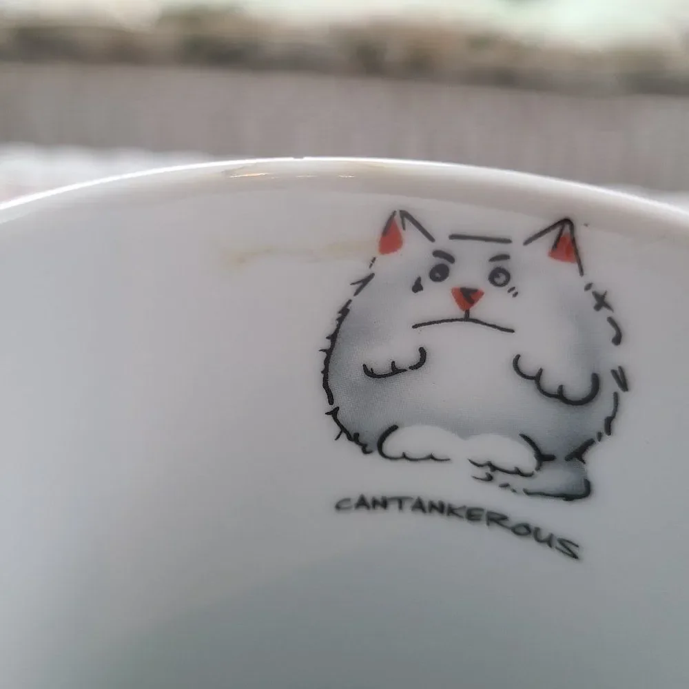Contented Pets Cat Lover's Fine Porcelain Coffee Tea Cup Mug Rayware Vintage