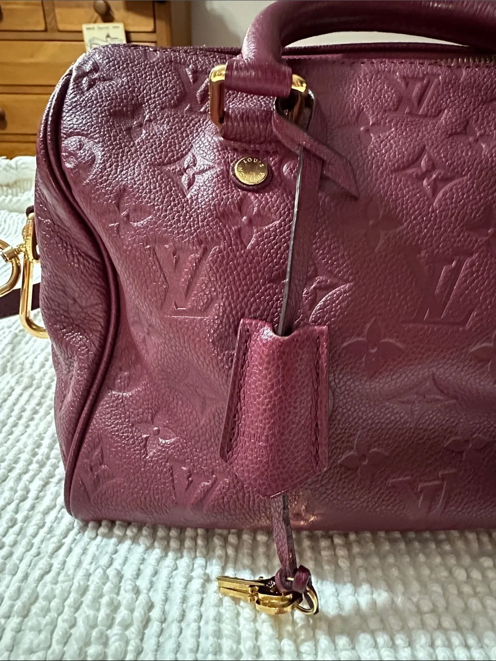 Louis Vuitton structured louis