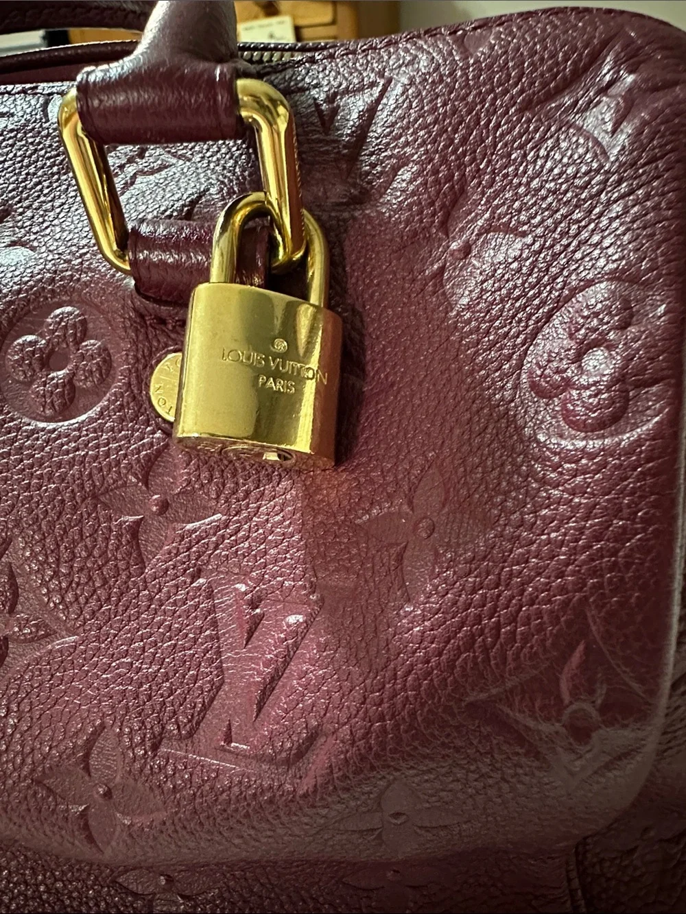 Louis Vuitton structured louis