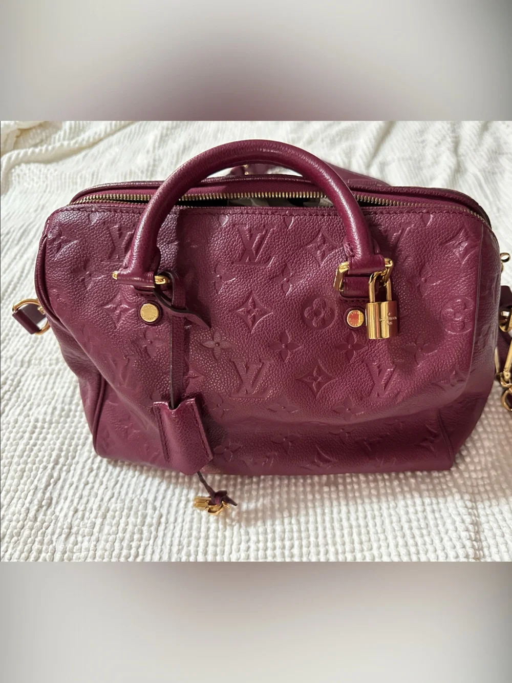 Louis Vuitton Burgundy Plum Monogram Speedy with Gold Hardware
