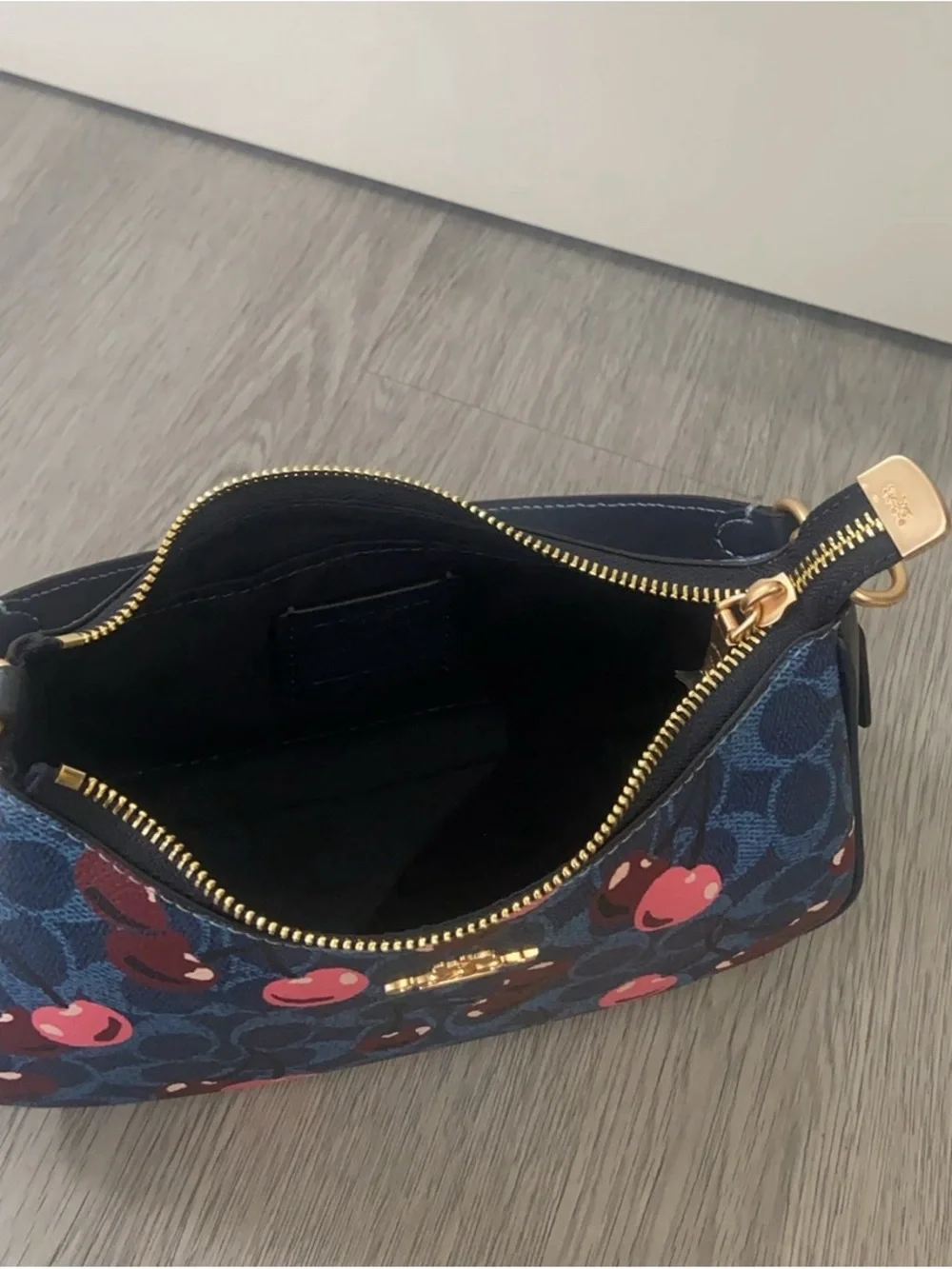 Coach mini shoulder