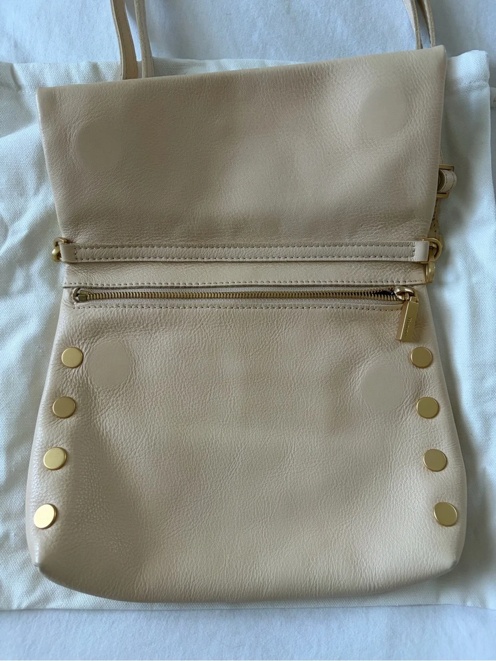 Hammitt VIP Leather Crossbody with Gold Hardware