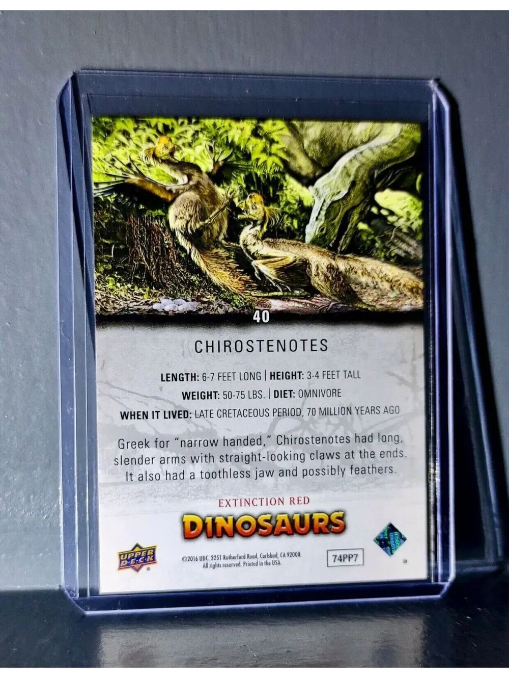 2015 Upper Deck Dinosaurs Chirostenotes Extinction Red Parallel #40 Card