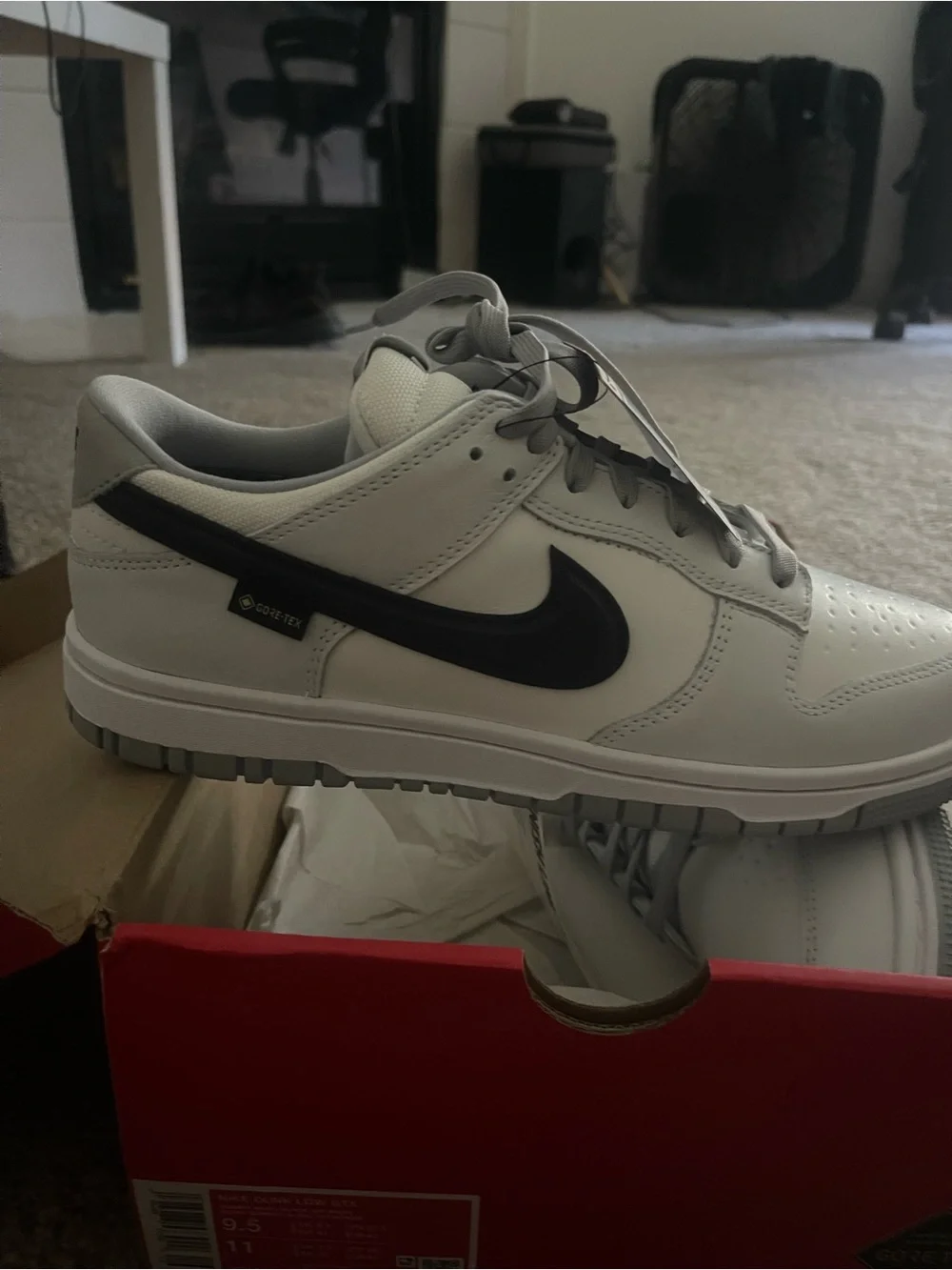 Nike White and Black Dunk Low GORE-TEX Sneakers