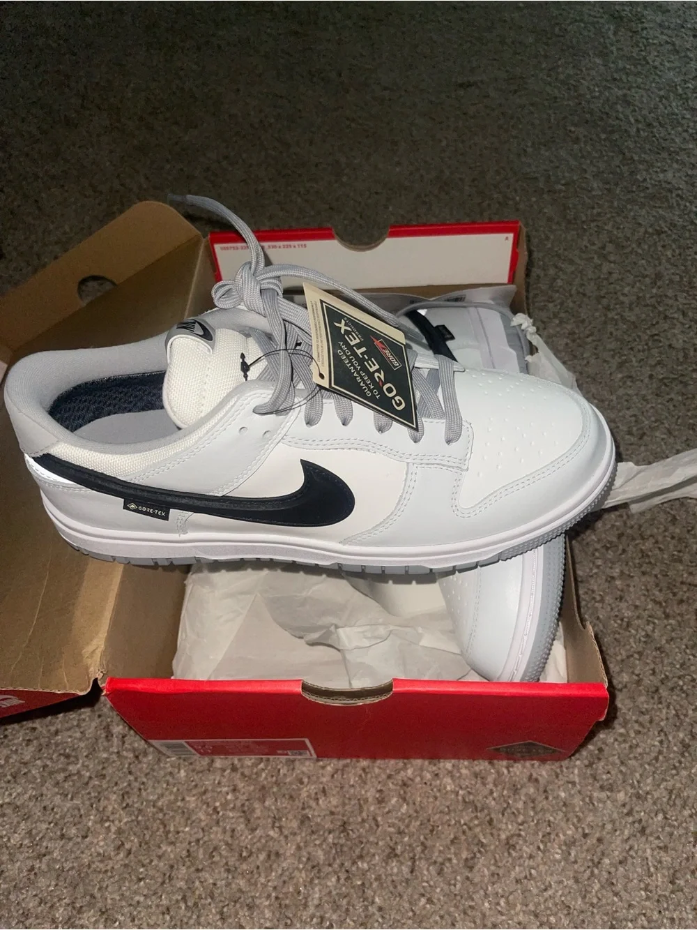 Nike White and Black Dunk Low GORE-TEX Sneakers