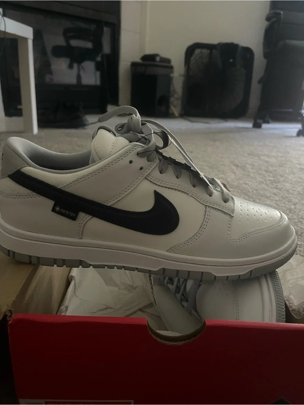 Nike White and Black Dunk Low GORE-TEX Sneakers