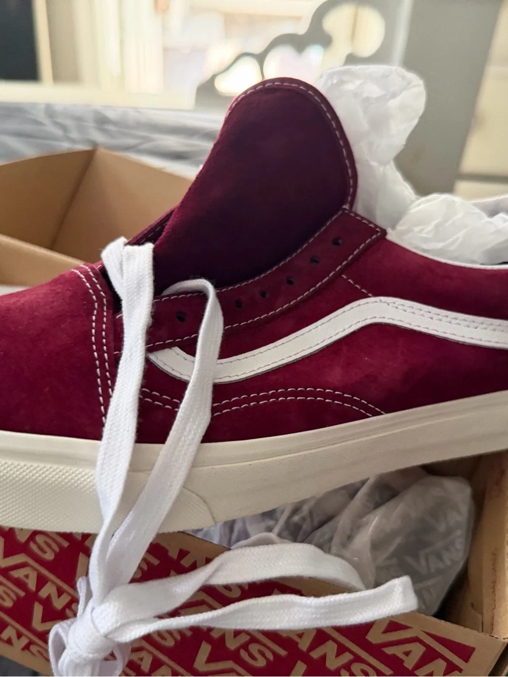 Vans branded shoe