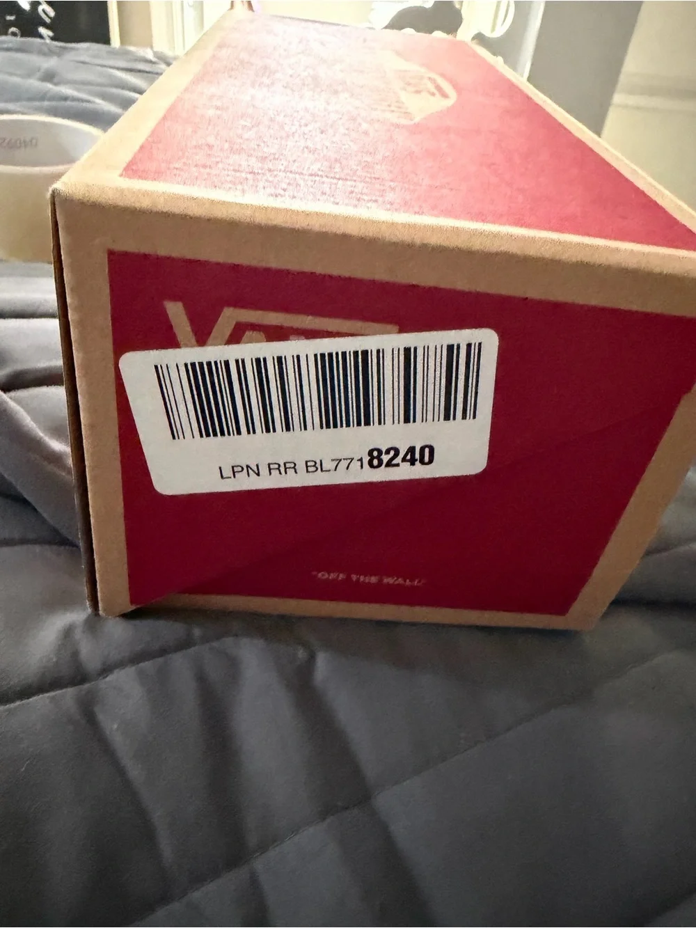 Vans branded shoe