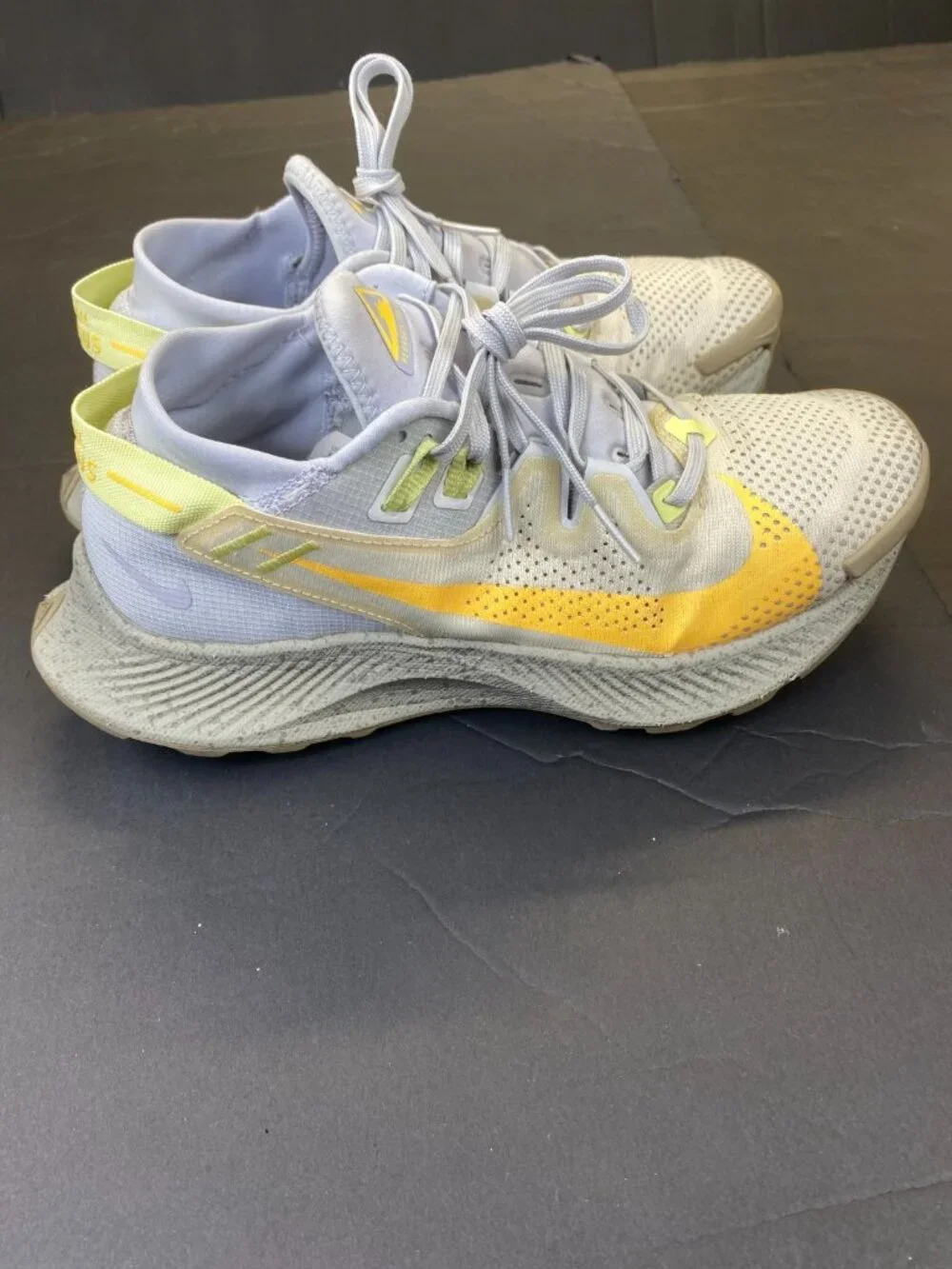 Nike pegasus trail