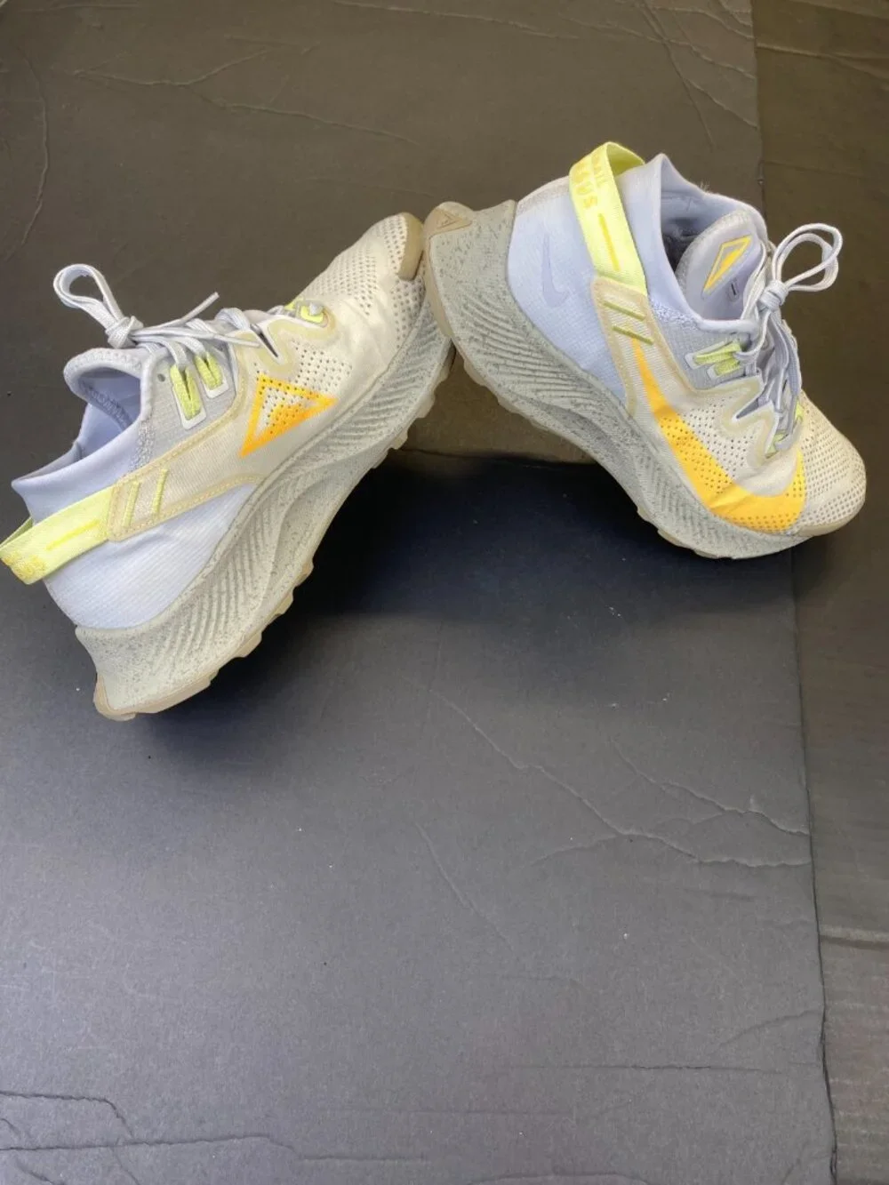 Nike pegasus trail