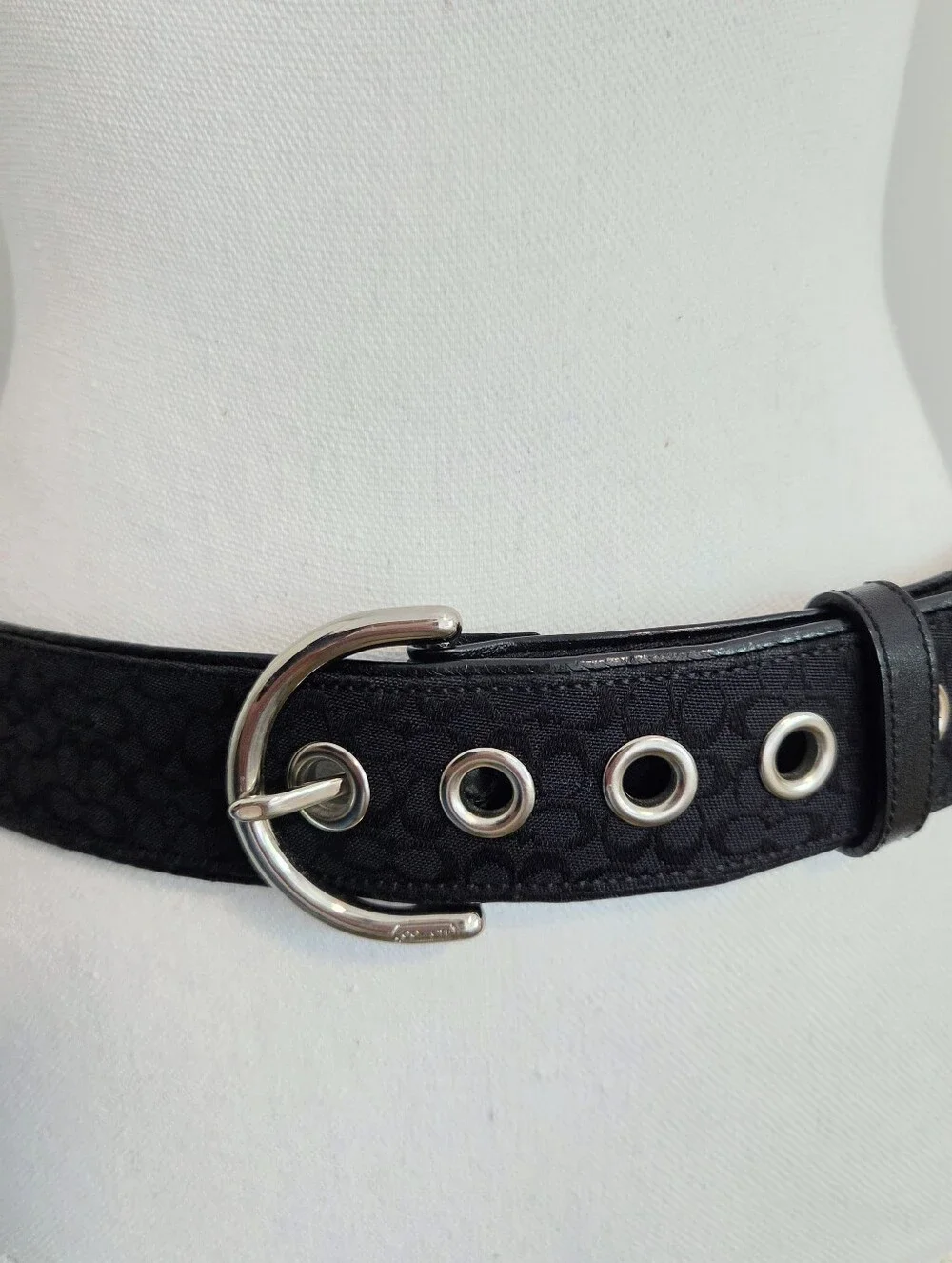 Coach classic y2k