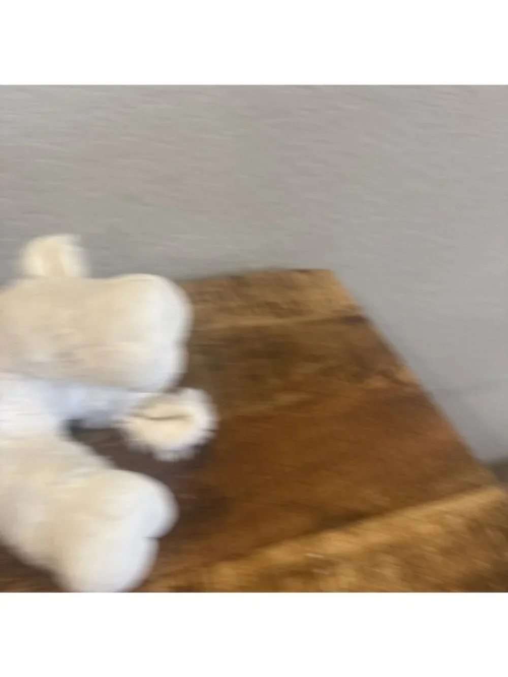 Gund baby white