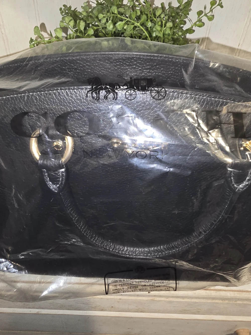 Coach bag this