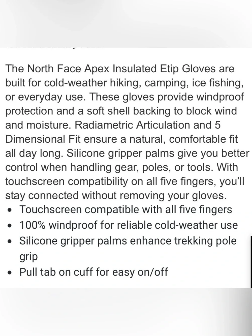 The North Face north face