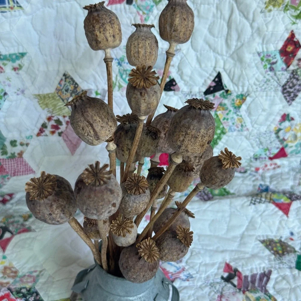 N/A rustic dried