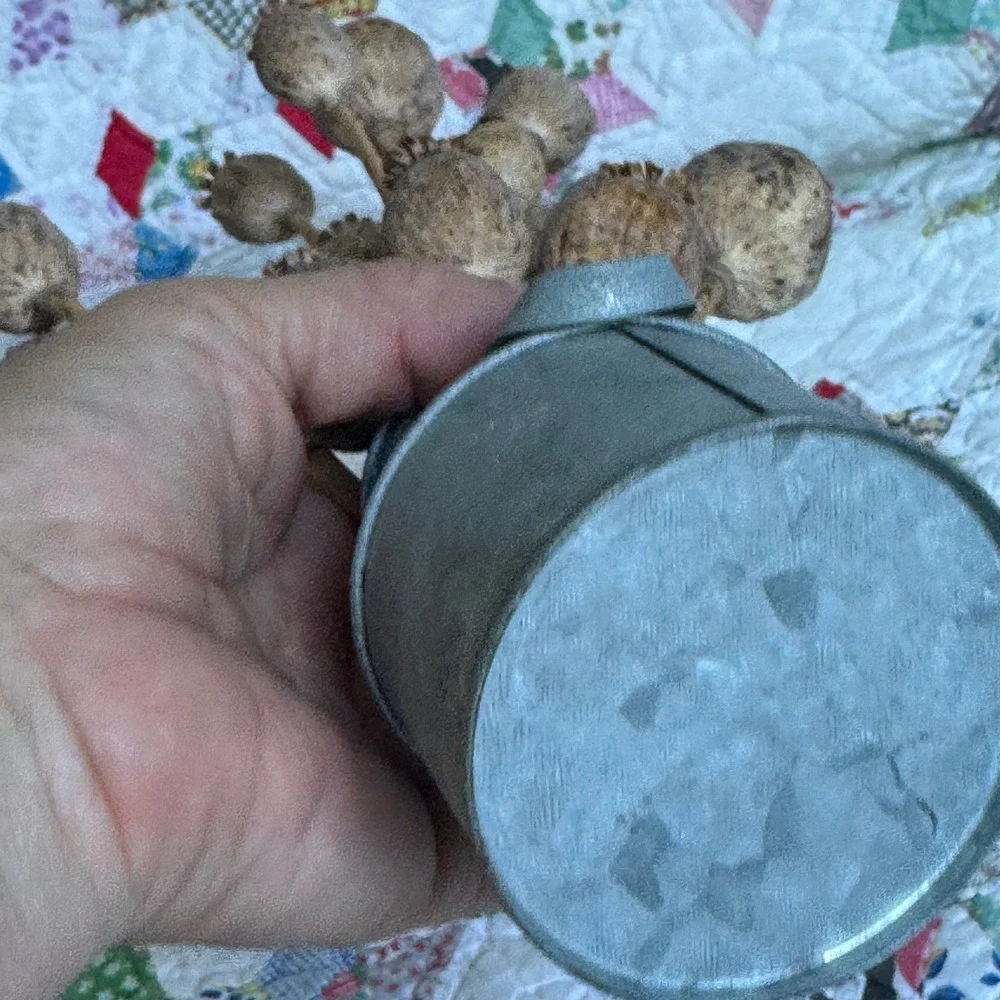 N/A rustic dried