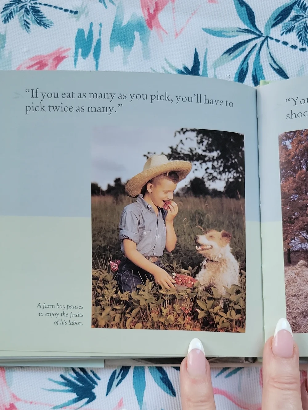 Grandma Always Said... The Little Book Of Country Wisdom By Pearl Hummerding
