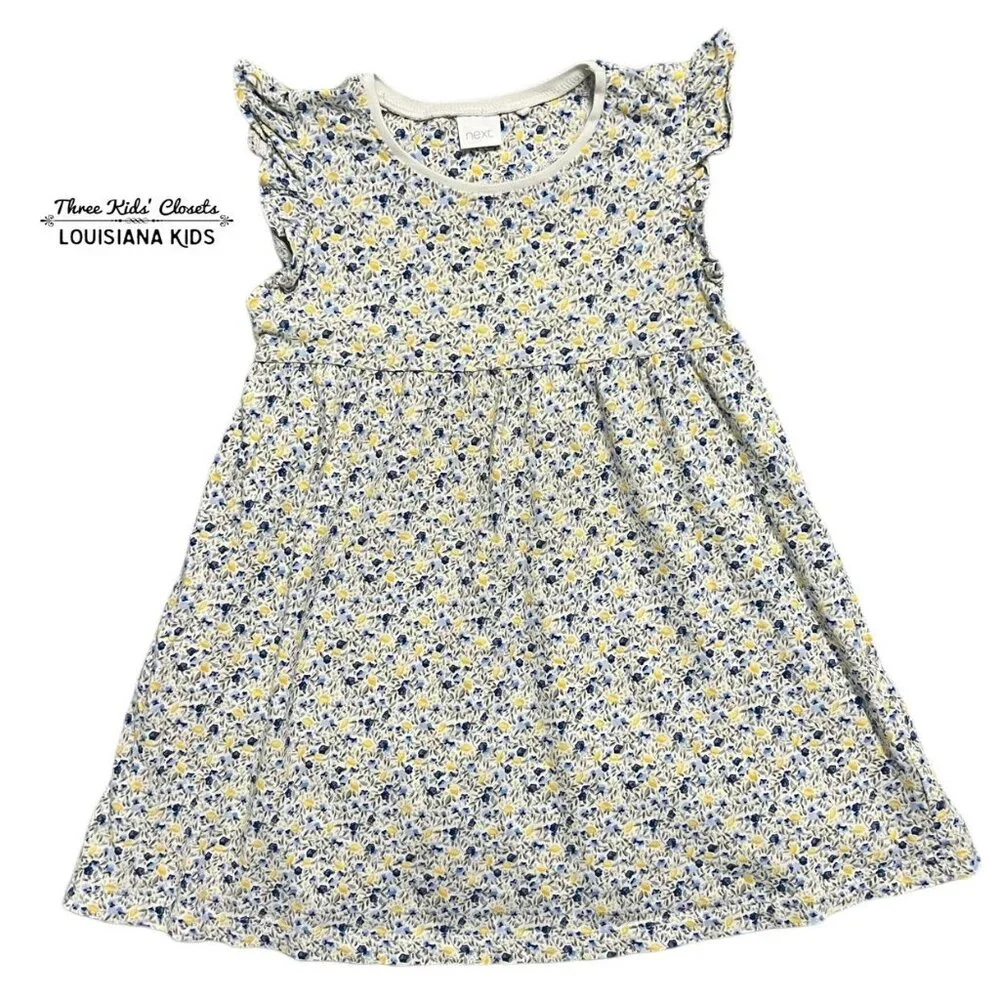 Next 3-4Y Blue & Yellow Floral Print Dress
