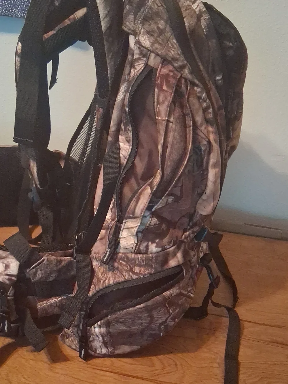 Sport cheif USA specifically layout