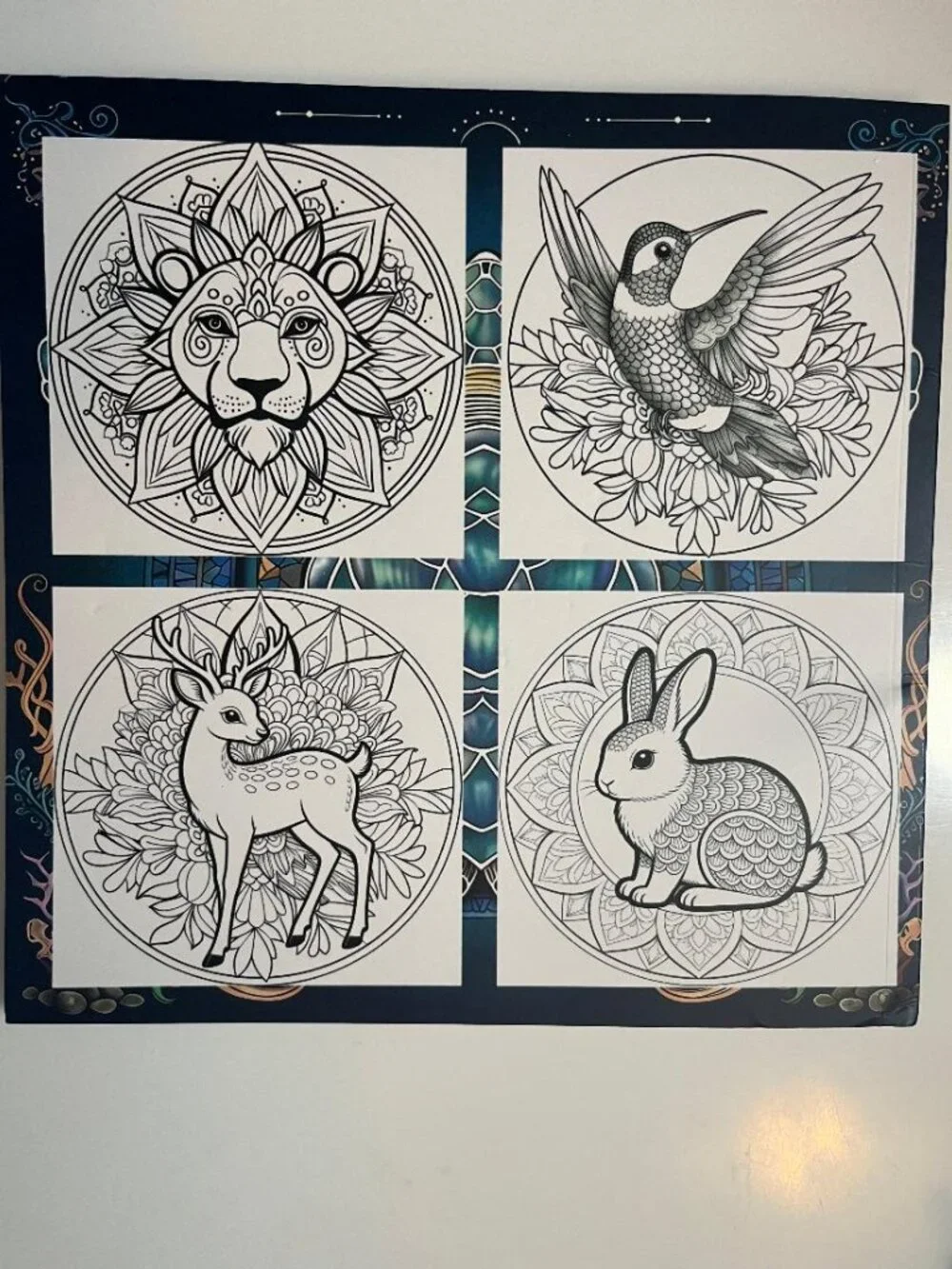 N/A adult coloring