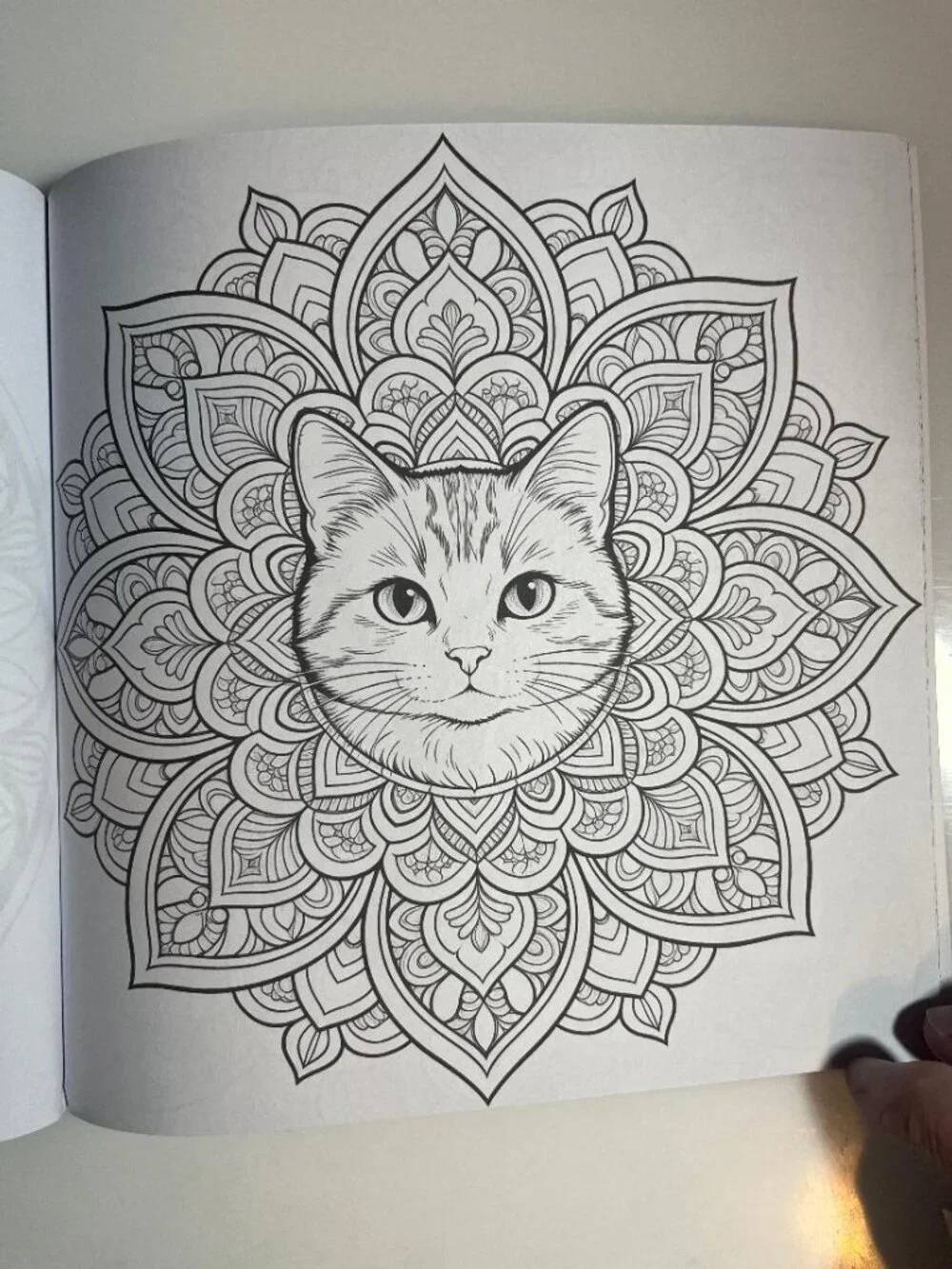 N/A adult coloring