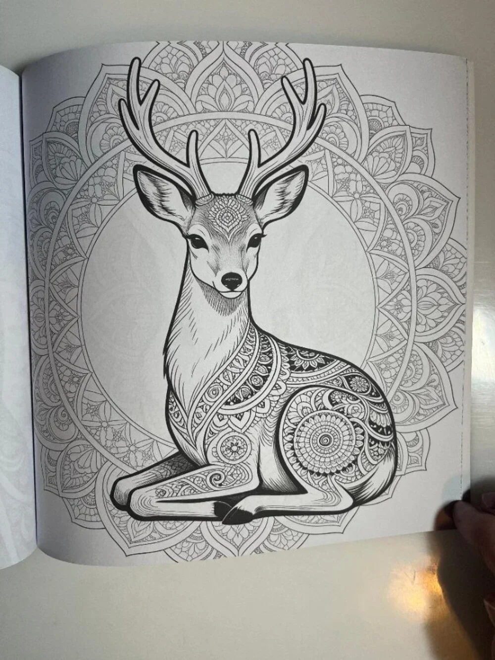 N/A adult coloring