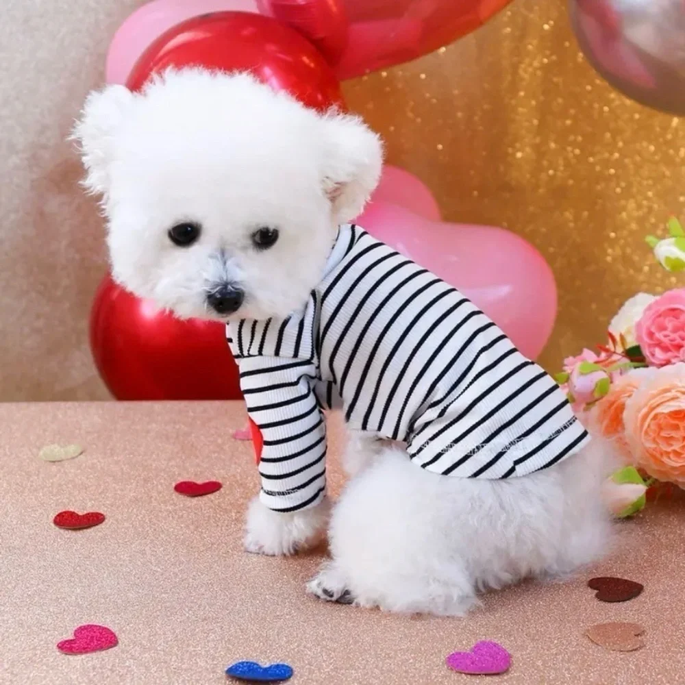 N/A adorable pullover