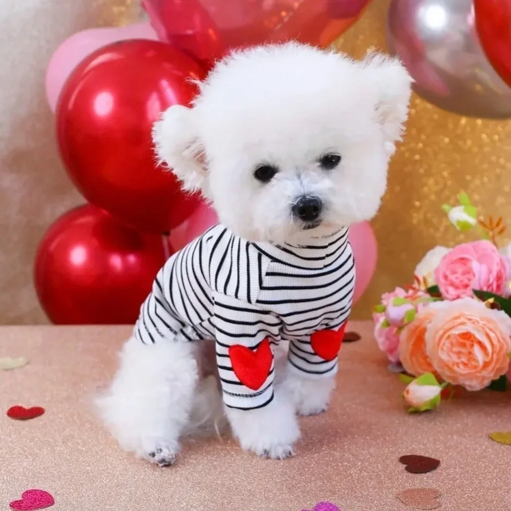 N/A adorable pullover