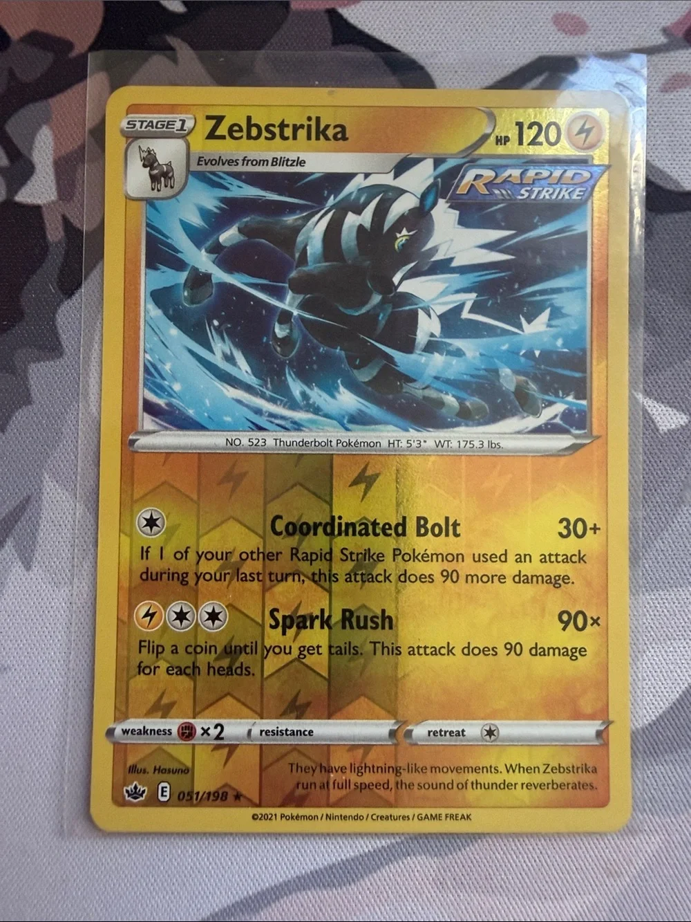Pokemon were etb zebstrika