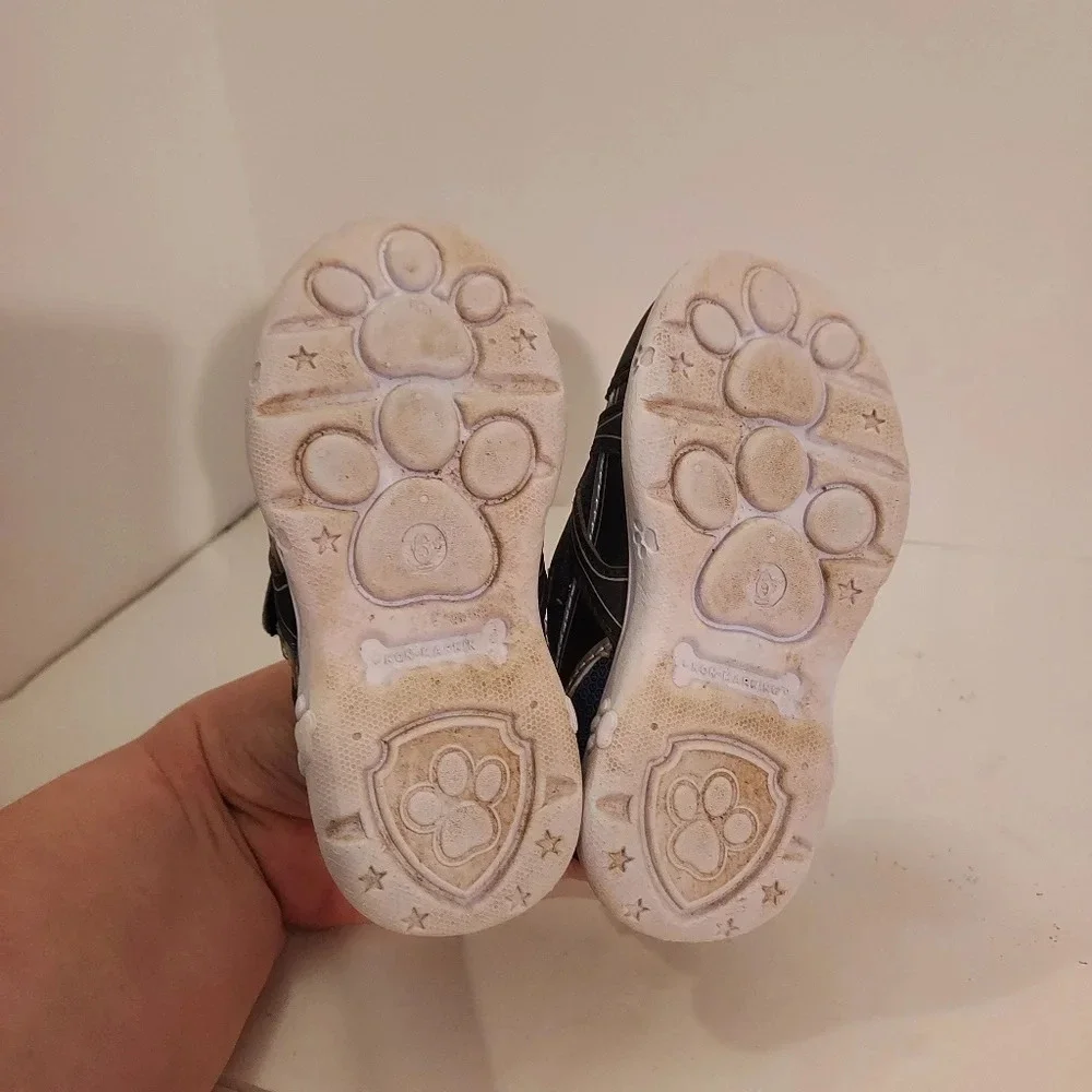 Paw Patrol good pre