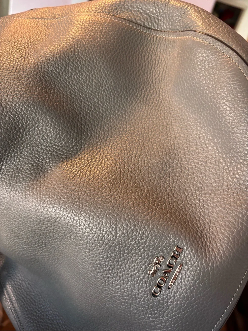 Coach carrying straps
