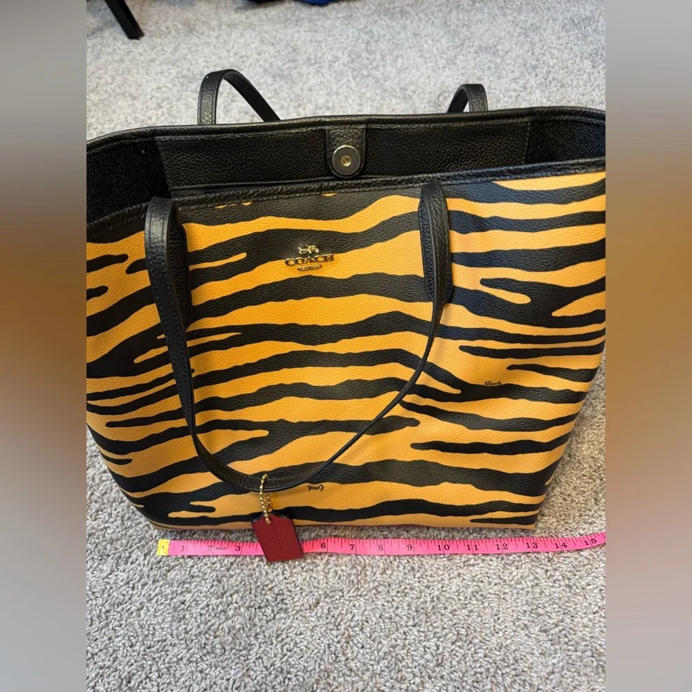 Coach eye sturdy upscale
