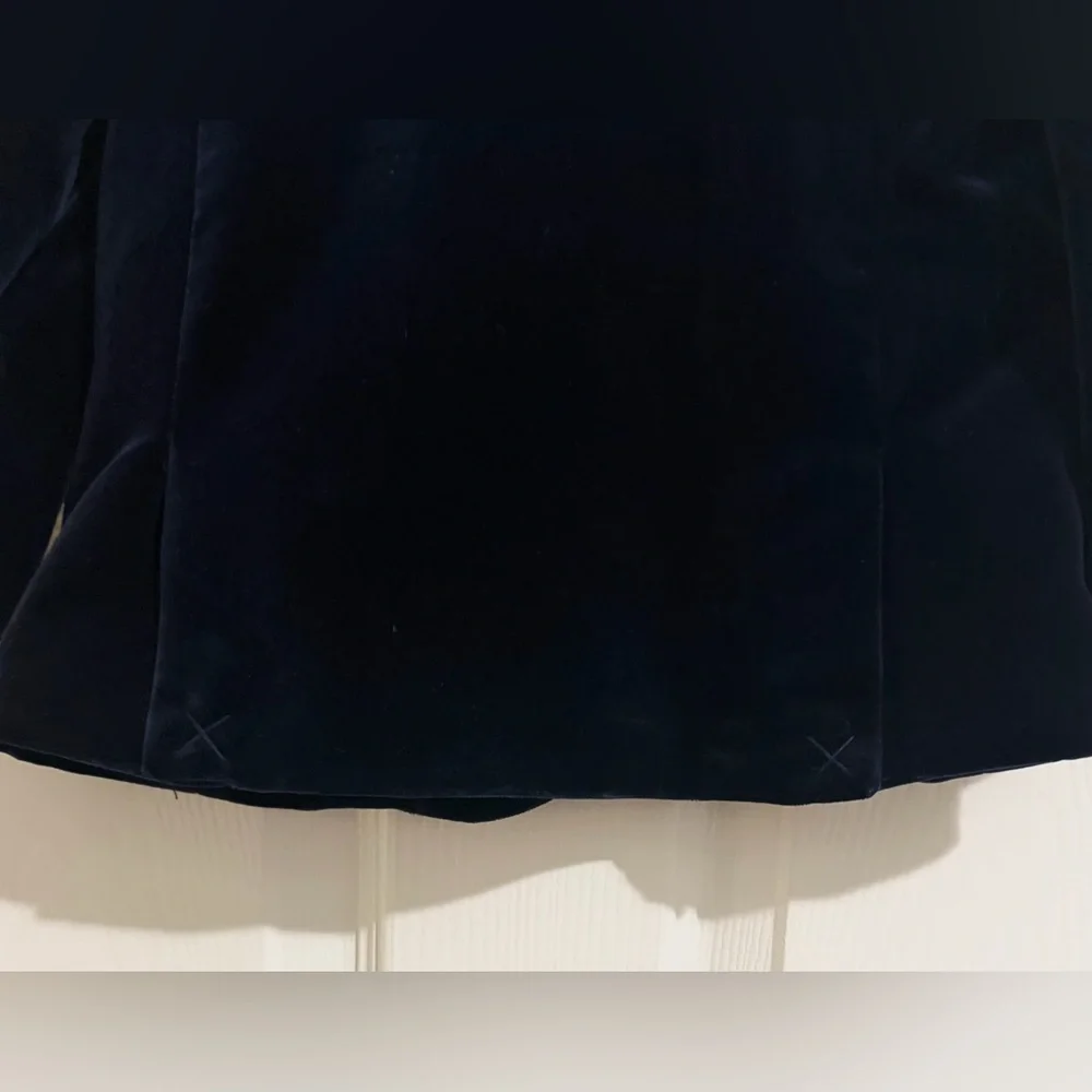Zara chic velvet