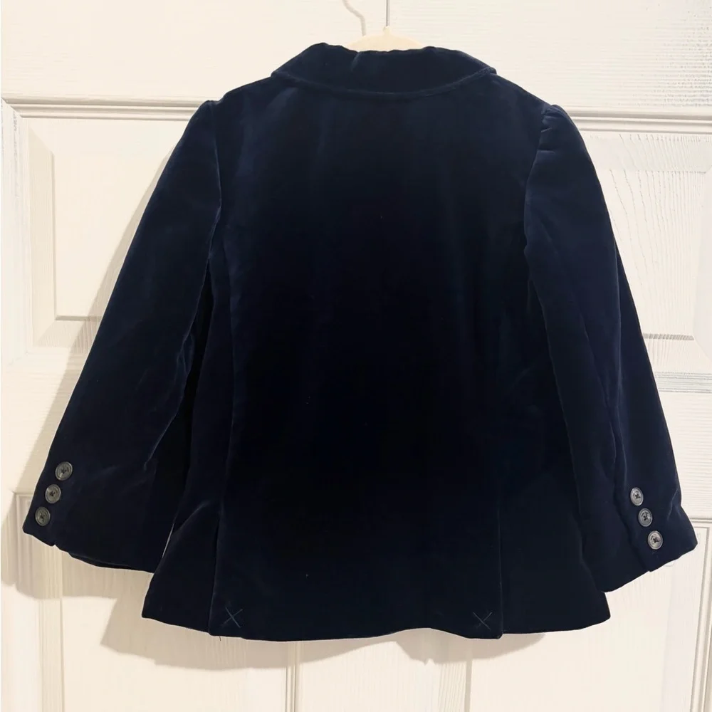 Zara chic velvet