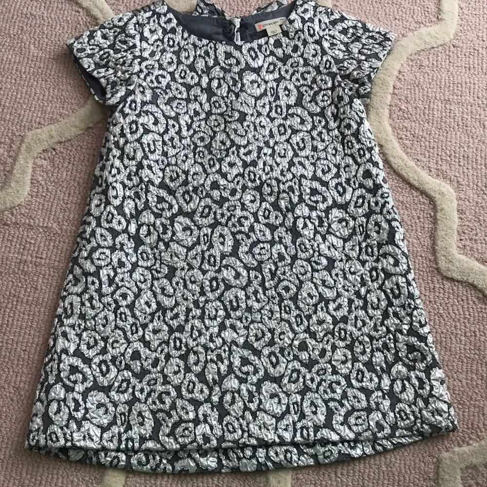 Crewcuts silver dress