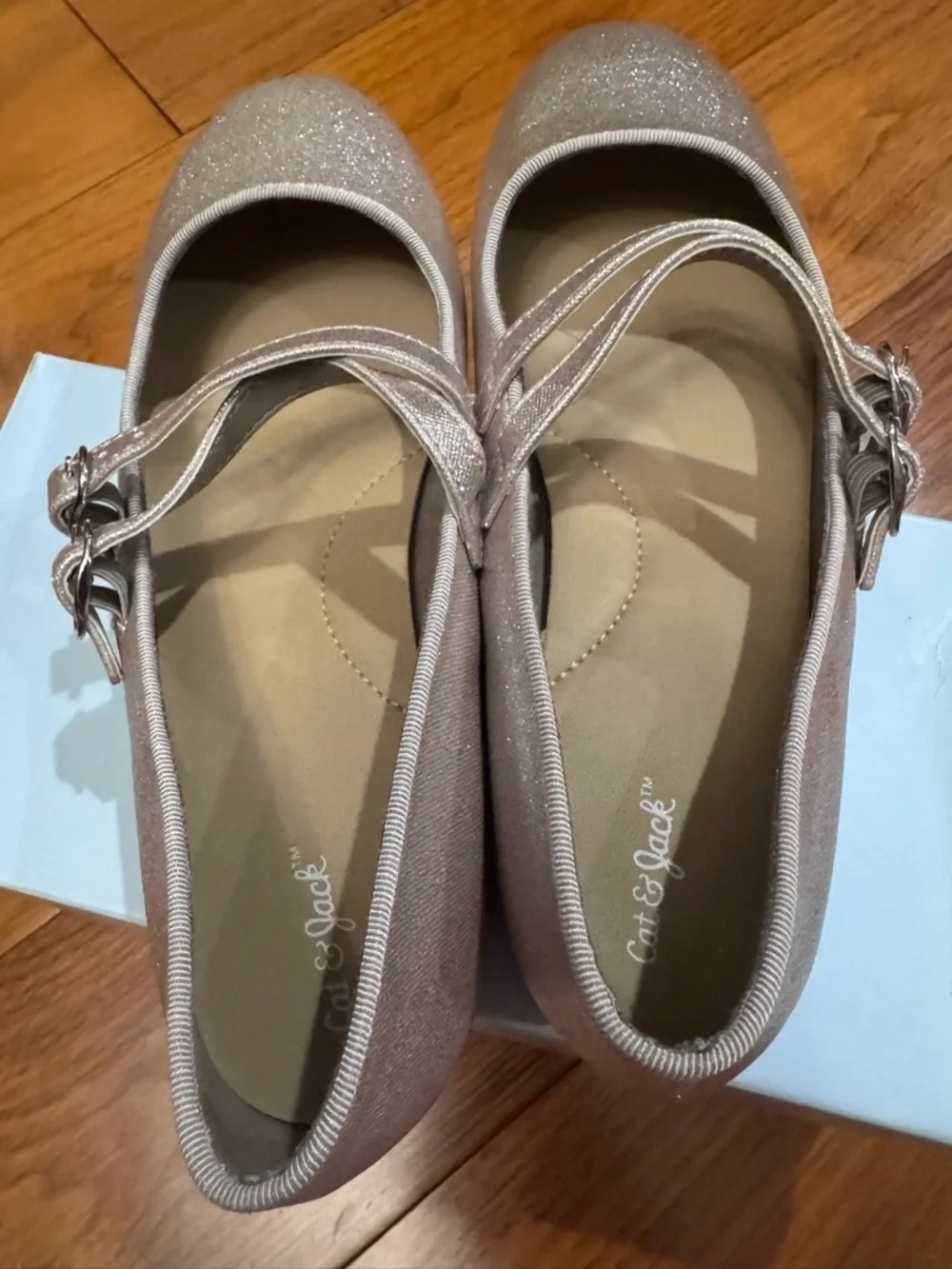 Cat & Jack Shimmery Double-Strap Flats in Gold/Rose