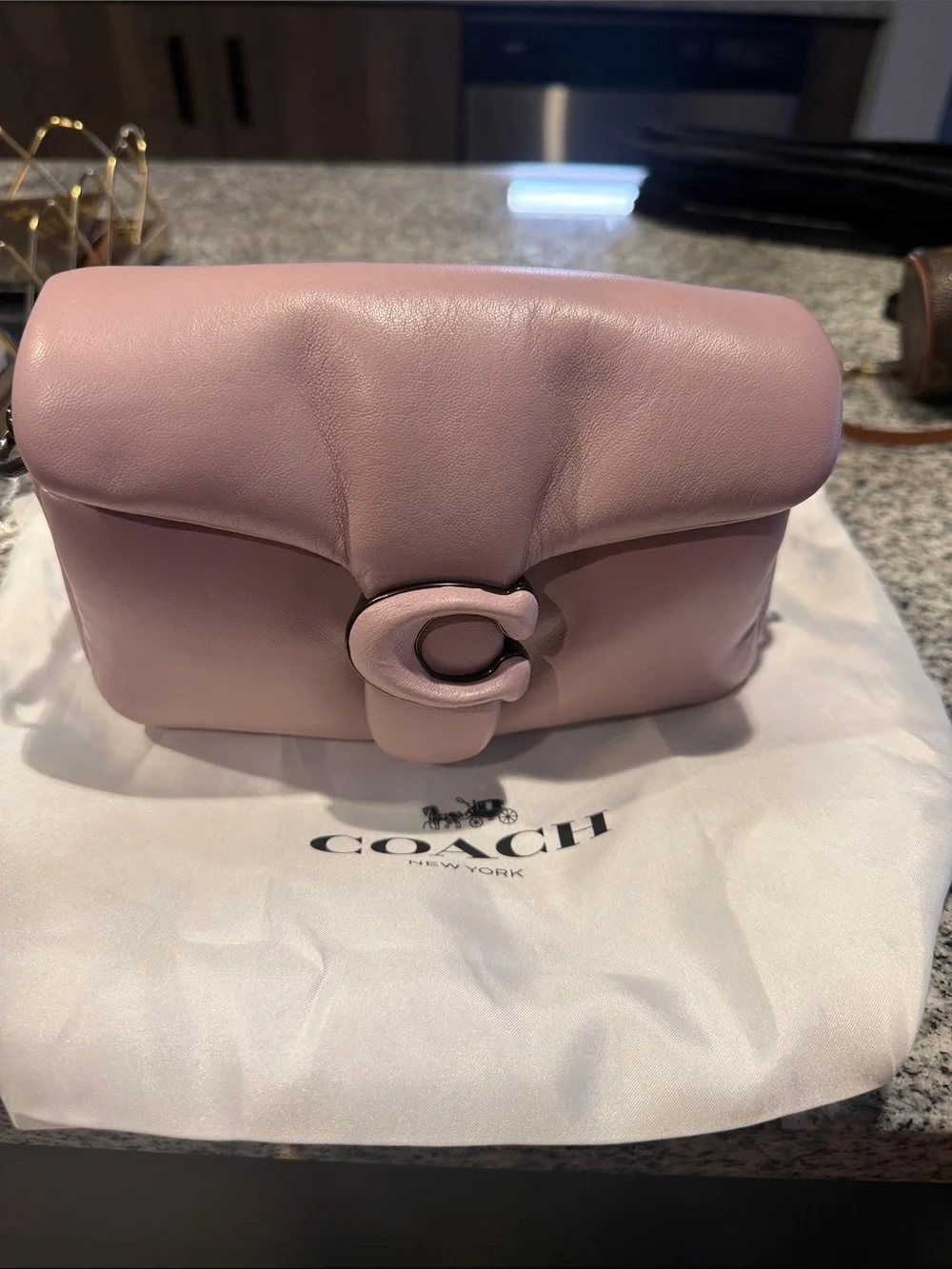 Coach Pink Leather Crossbody with Signature 'C' Front