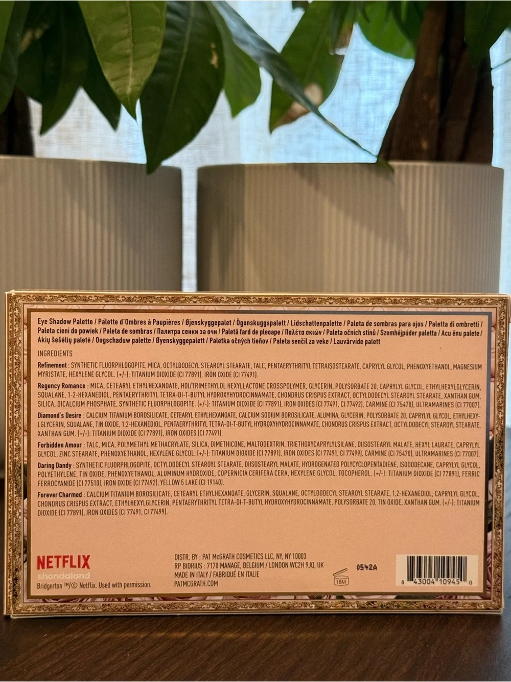 Netflix step into