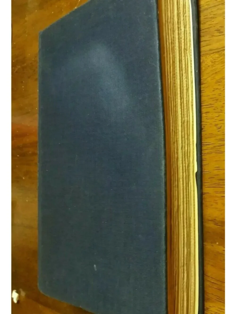 PILGRIMS PROGRESS and THE HOLY WAR Book John Bunyan Puritan Publishing Rare 1934