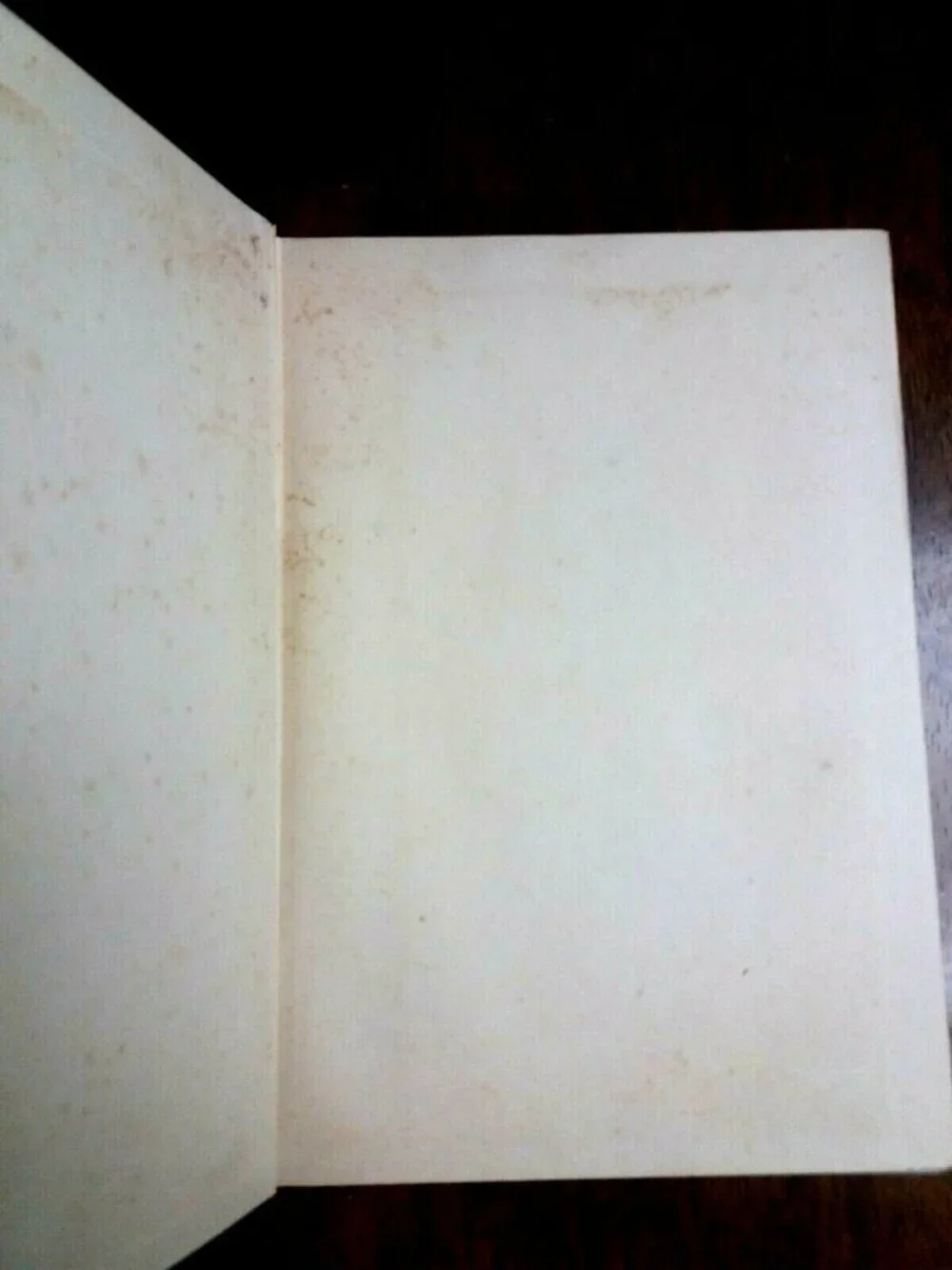 PILGRIMS PROGRESS and THE HOLY WAR Book John Bunyan Puritan Publishing Rare 1934