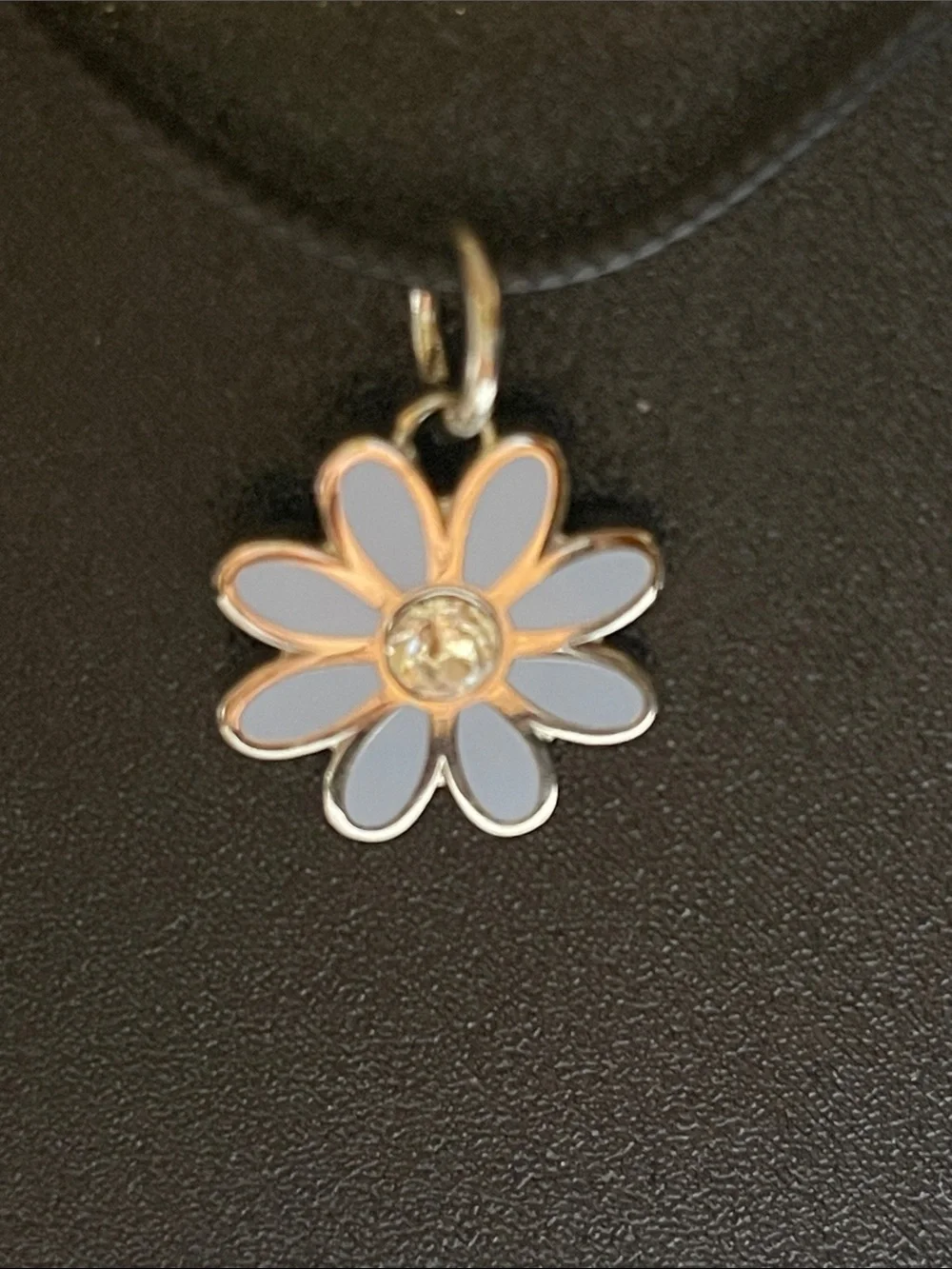 Coach charming light