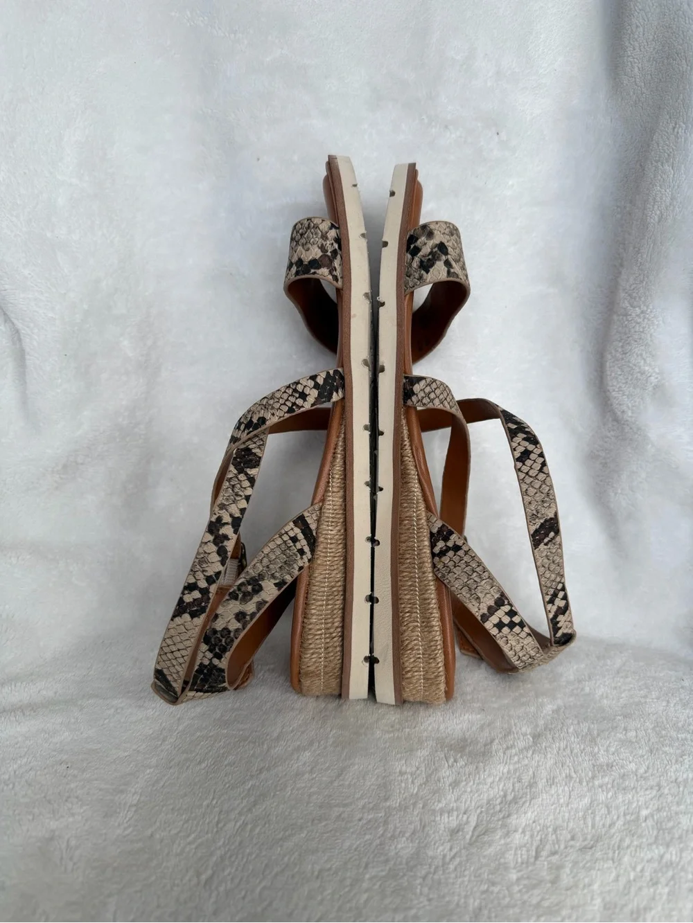 Zodiac chic snake