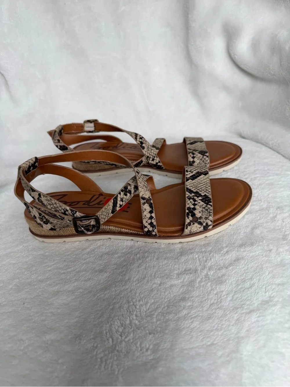 Zodiac chic snake