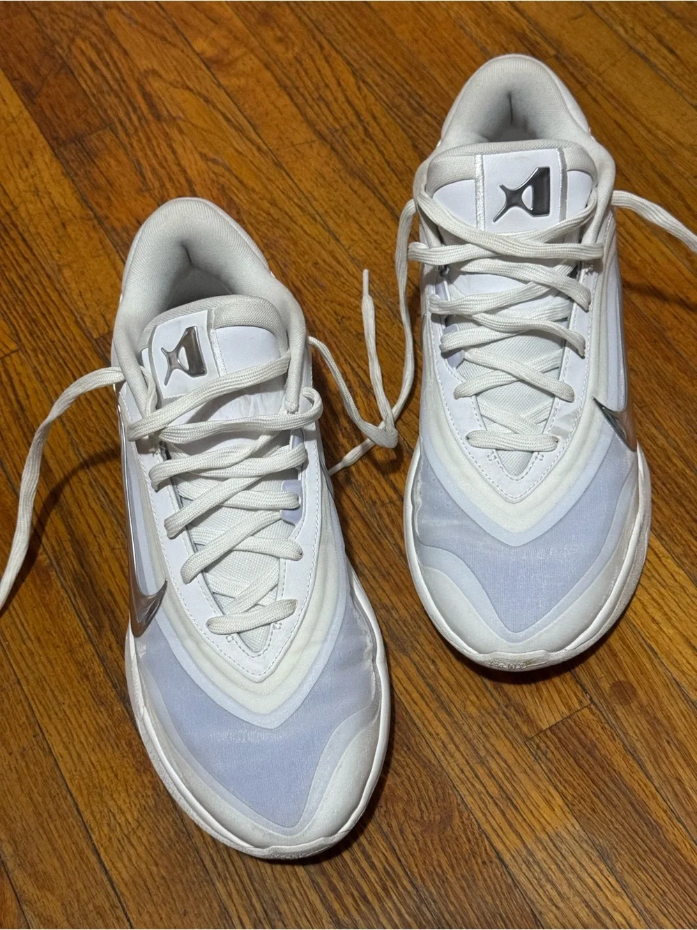 Nike sleek low