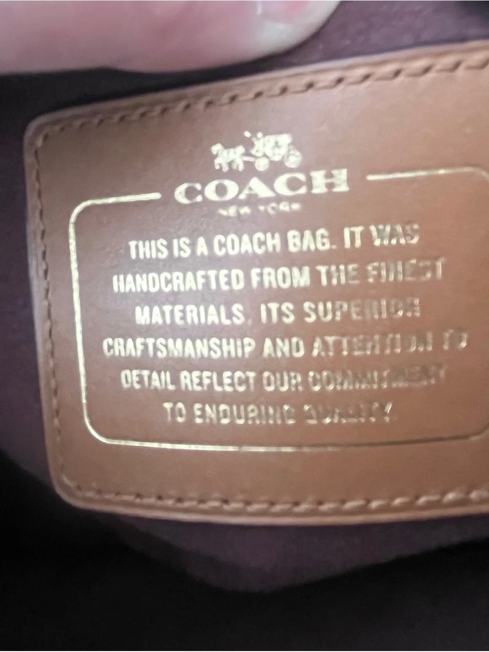 Coach handles detachable