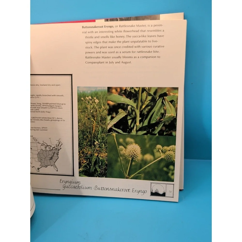 Nature's Heartland: Native Plant Communities of the Great Plains - ‎ Bill Boon